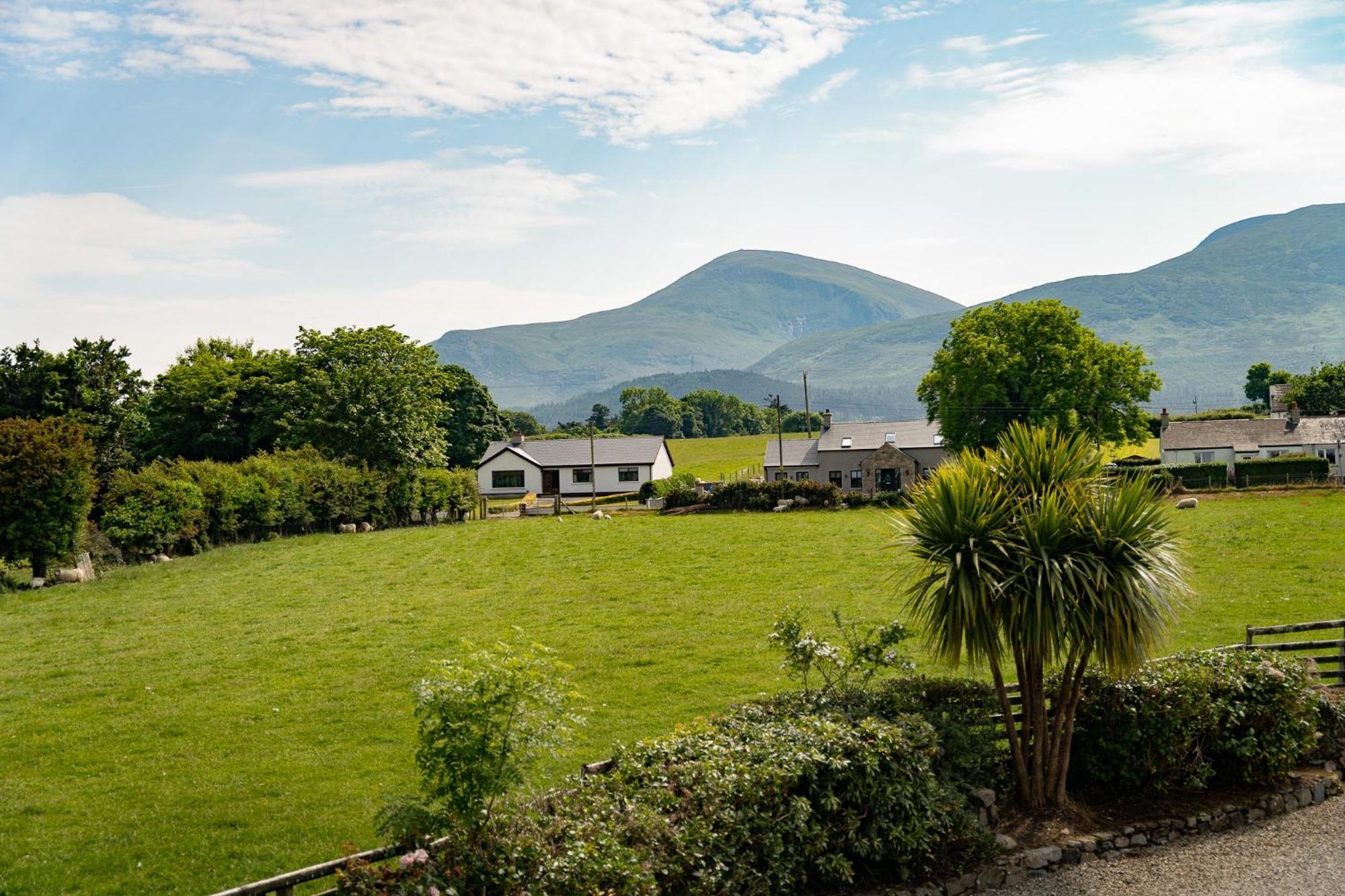The Briers Country House Newcastle  Esterno foto